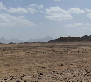 Wüste und Oase mit Camelreiten