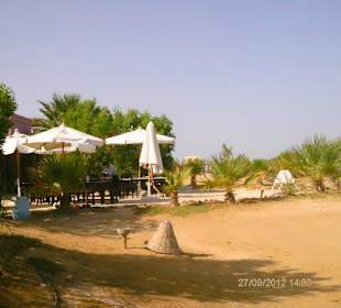 Nähe Zeytona Beach-Bar