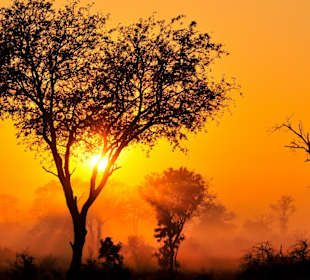 Sabi Sand Private Game Reserve