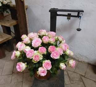 Der Besitzer ist ein Rosenfreund