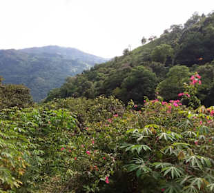 Elefantenreiten Sigiriya