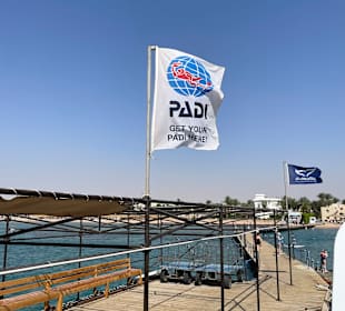 Schnorcheln Makadi Bay