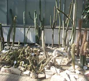 Orto botanico di Praga