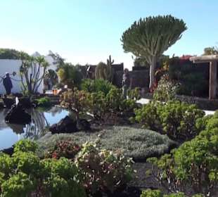 Fundacion Cesar Manrique