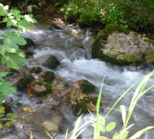 Am Bach