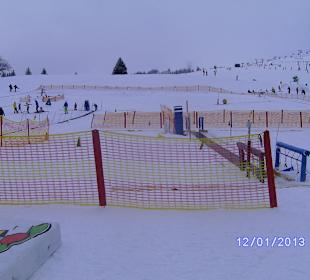 Skischule