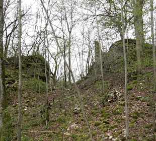 Ruine Monsberg