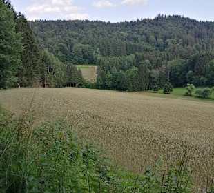 Wandern Wegscheid