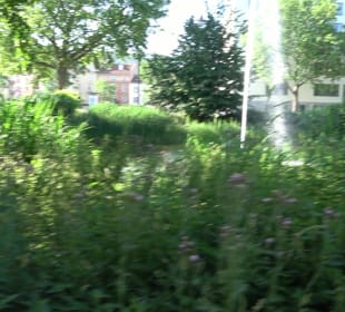 Schwanenteich