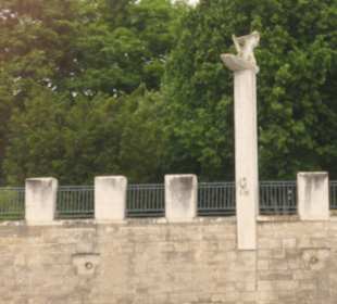 Elbe-Fahrt mit einem Schiff der Weißen Flotte