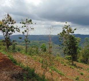 Puncak Becici
