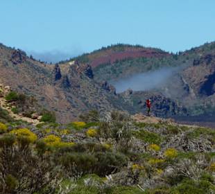 Teide