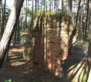 Ruiny kościoła św. Mikołaja