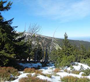 Schneekope/Śnieżka