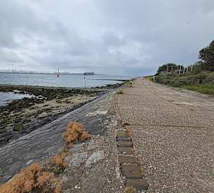 Strand Hoek van Holland in Hoek van Holland