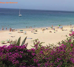 Jandia-Playa del Matorral