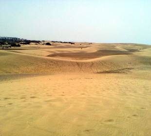 Dünen von Maspalomas