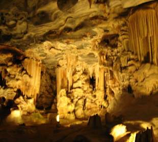 .. Wunder der Natur IV