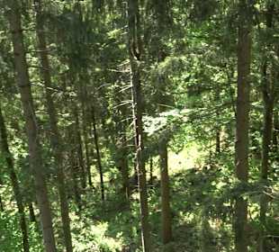 Naturparkzentrum Ruhestein