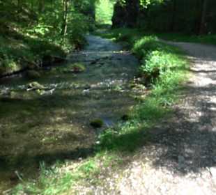 Premiumwanderweg Hochgehschätzt