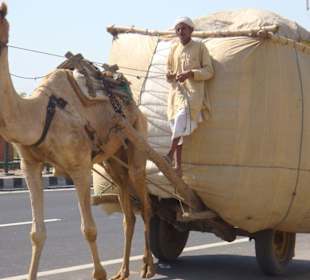Kamelkarren