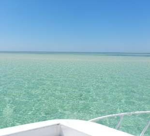 Rotes Meer/Red Sea - Hurghada - Sandbank