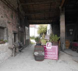 Weingut Guillon-Painturaud