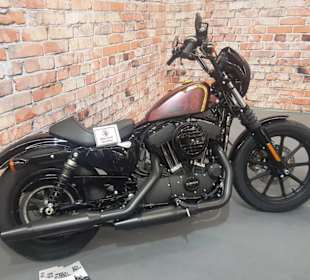 Harley