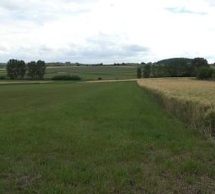 Schutzgebiet Spitzberg, Pfaffenberg