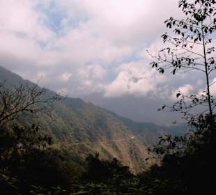 Restaurant Dantak Canteen