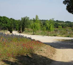 Rundgang um den Lac de Villeneuve-de-la-Raho