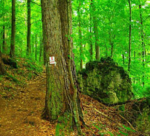 Auf-Abstieg Adlerstein Panorama