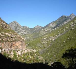 Outeniqua Berge