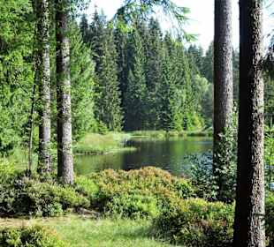 Eindrücke vom Rundgang um den Fichtelsee