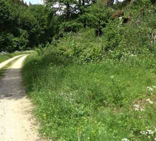 Tiefental Aichstetten