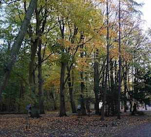 Altstadt Kolberg