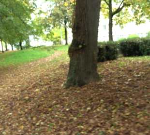 Nördlicher Wehrturm Schussenstraße