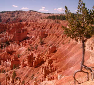 Bryce Canyon