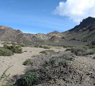 Teide