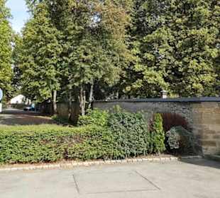 Friedhof Unter den Linden