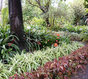 Im Jardín de aclimatación de La Orotava