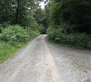 Schutzgebiet Spitzberg, Pfaffenberg