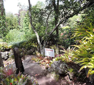 Eden Garden ein Paradies mitten in der Stadt