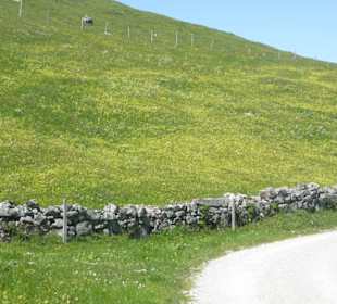 Wandern Schliersee