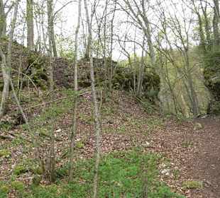 Eiszeitpfad - Burgfelsenpfad