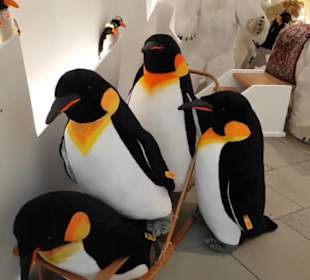Steiff Museum