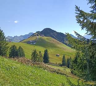 Damülser Mittagsspitze