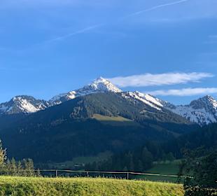 Ausblick