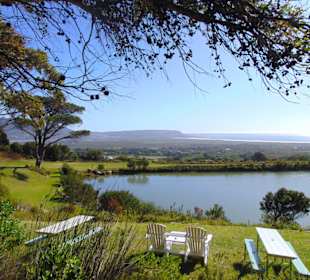 Cape Point Vineyards in Noordhoek