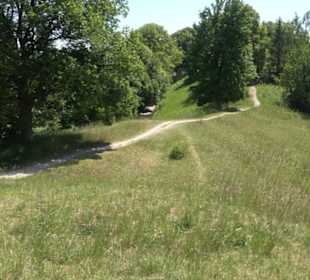 Burg Kräheneck Reusten